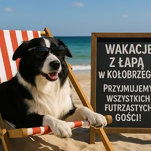https://dobruk-apartamenty-apartament-agnieszka.kolobrzeghotels.com